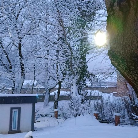 Woodland Paradise Gabala Exterior foto