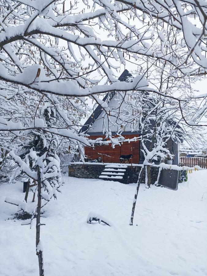 Woodland Paradise Gabala Exterior foto