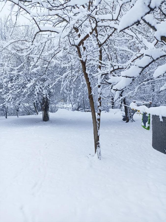 Woodland Paradise Gabala Exterior foto