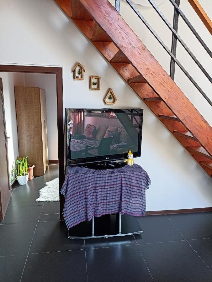 Woodland Paradise Gabala Exterior foto