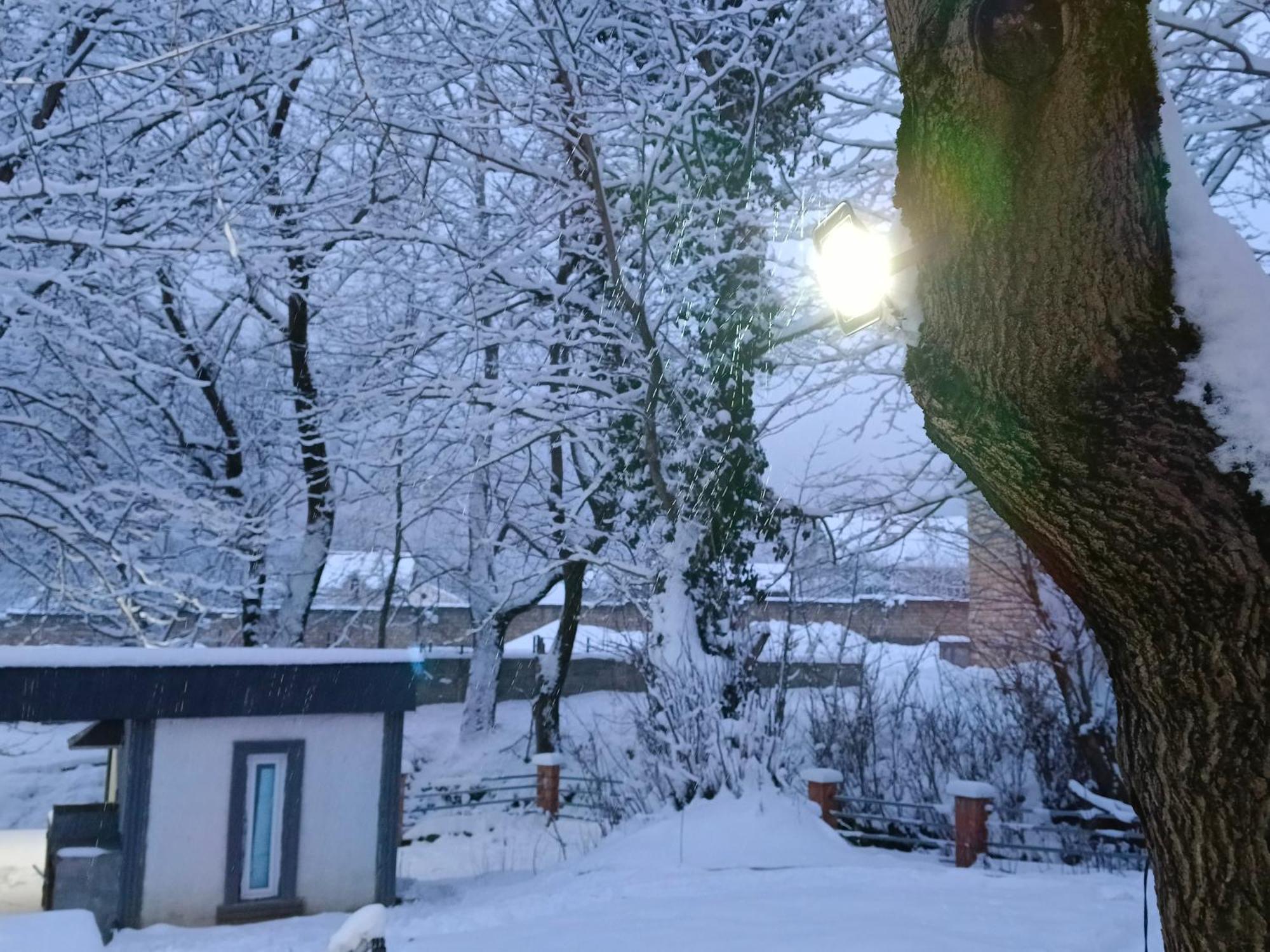 Woodland Paradise Gabala Exterior foto